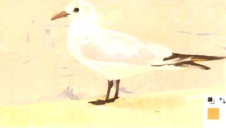 插画绘制的完美画具Photoshop应用(五)工具组合③