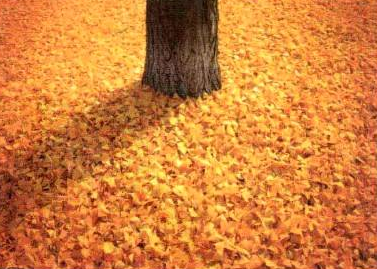 插画绘制的完美画具Photoshop应用（八）色彩的调节②