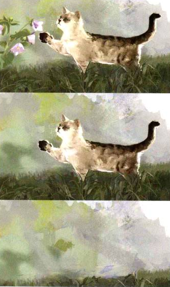 插画绘制的完美画具Photoshop应用(九)图层的应用①