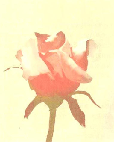 插画绘制的完美画具Photoshop应用(十二)通道