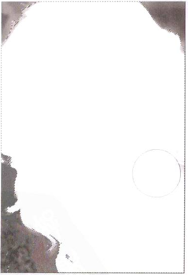 插画绘制的完美画具Photoshop应用(十二)通道