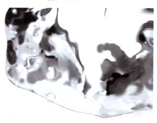 插画绘制的完美画具Photoshop应用(十三)路径