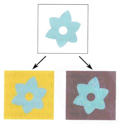 如何营造插画画面感之色彩营造（四）不被表象所影响