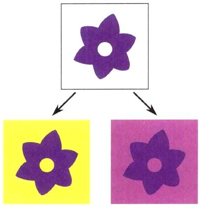 如何营造插画画面感之色彩营造（四）不被表象所影响