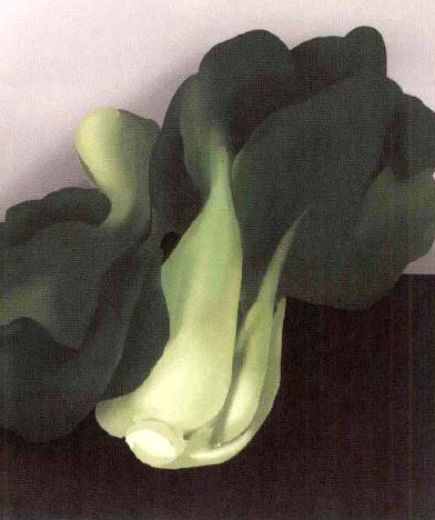 如何营造插画画面感之画面塑造(三)层层渲染与无厘头