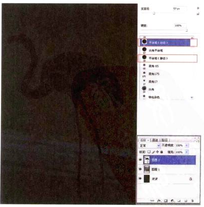 Photoshop的传统画法（八）动物绘画步骤①