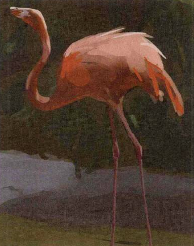 Photoshop的传统画法（八）动物绘画步骤①