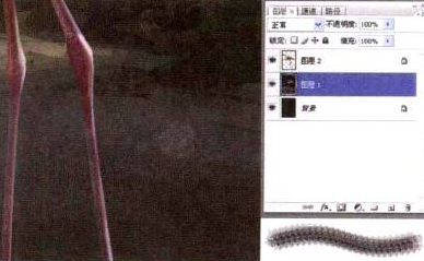 Photoshop的传统画法（八）动物绘画步骤①