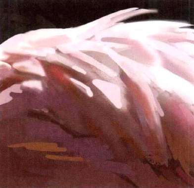 Photoshop的传统画法（九）动物绘画步骤②