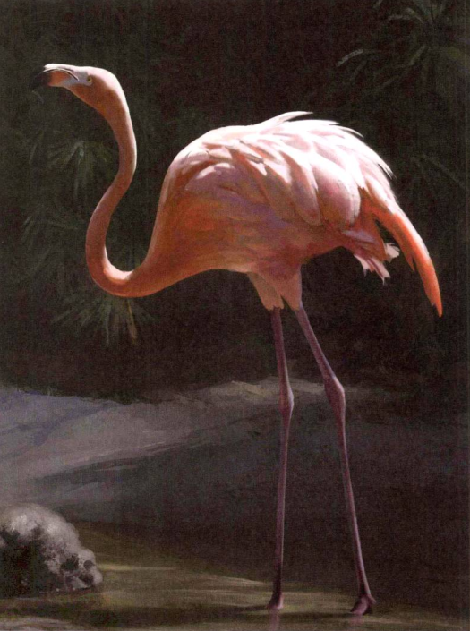 Photoshop的传统画法（九）动物绘画步骤②