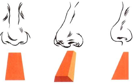 Photoshop的传统画法（十三）人物之面部结构②