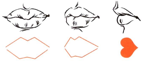 Photoshop的传统画法（十三）人物之面部结构②