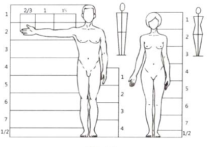 Photoshop的传统画法（十四）人物之人体比例与动态结构