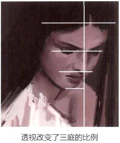 插画绘制实例之编发少女（二）寻找结构比例规律