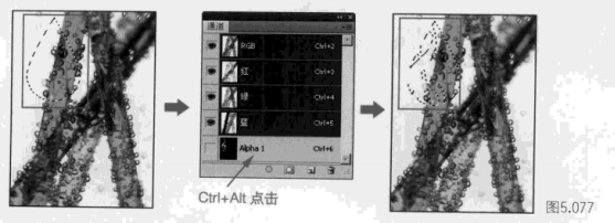 收藏！！！ps通道的综合应用（三）