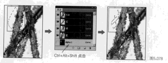 收藏！！！ps通道的综合应用（三）