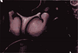 游戏原画调整与完善教程——造型调整