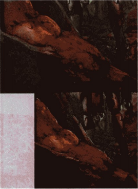 游戏原画调整与完善教程——材质铺贴