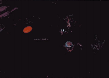 游戏原画案例解析——克洛斯特战役之通界圣卫（六）