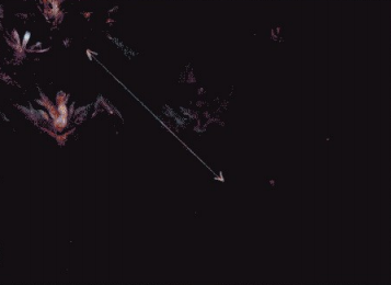 游戏原画案例解析——克洛斯特战役之通界圣卫（六）