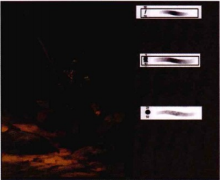 如何用感情丰富的笔触绘制《剑圣》？