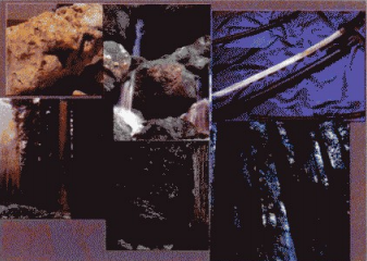 如何用感情丰富的笔触绘制《剑圣》？