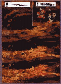 如何用感情丰富的笔触绘制《剑圣》？