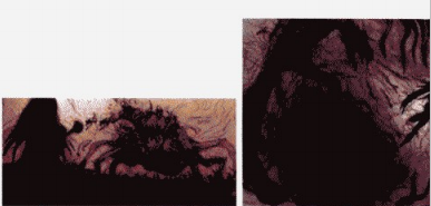 游戏原画案例解析——斗龙场景草稿创作教程