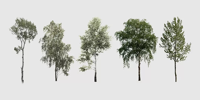 PS快速制作鸟瞰效果图图文教程