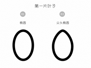ai教程：多肉植物扁平风线体插画-伊丞小站（YLIMHS.COM）