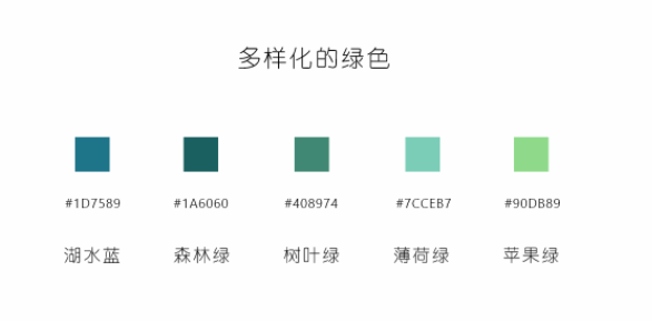 ai教程：多肉植物扁平风线体插画