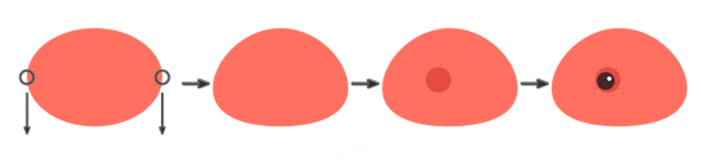 AI插画教程：火烈鸟的制作解析