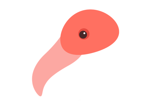 AI插画教程：火烈鸟的制作解析