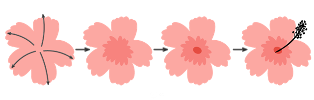 AI插画教程：火烈鸟的制作解析