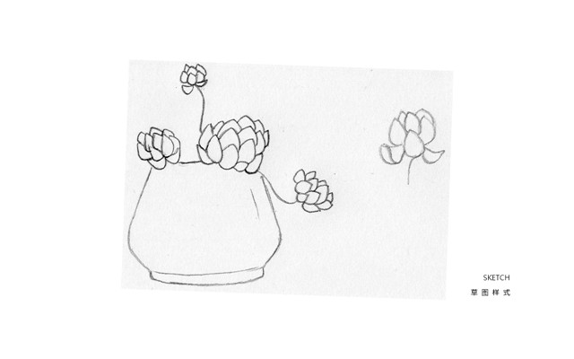 矢量线条插画教程：AI彩绘多肉