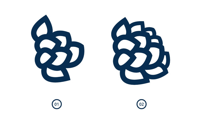 矢量线条插画教程：AI彩绘多肉