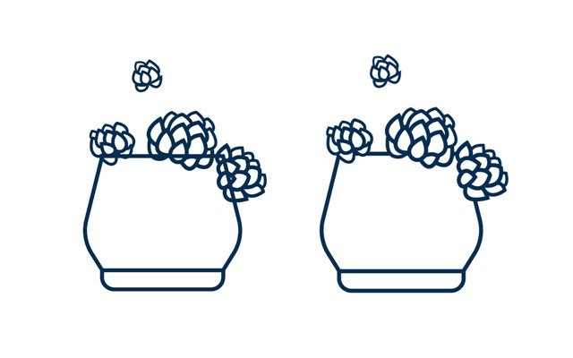 矢量线条插画教程：AI彩绘多肉