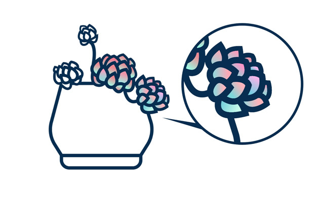 矢量线条插画教程：AI彩绘多肉