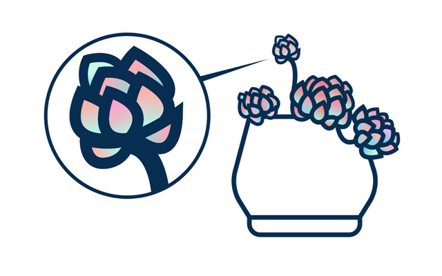 矢量线条插画教程：AI彩绘多肉