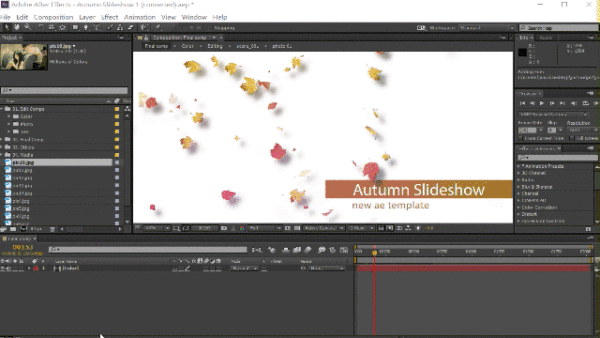 2.gif